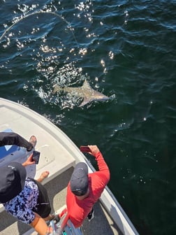 Fishing in Santa Rosa Beach, Florida