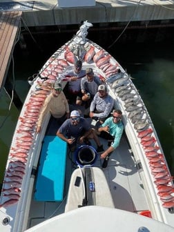 Red Snapper Fishing in Clearwater, Florida