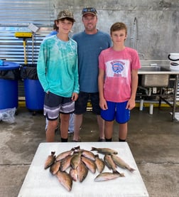 Mangrove Snapper, Mutton Snapper fishing in Destin, Florida