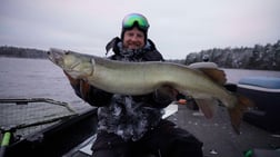 Rainbow Trout Fishing in Big Rapids, Michigan