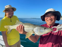 Bonefish fishing in Tavernier, Florida