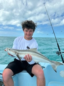 Fishing in Key West, Florida