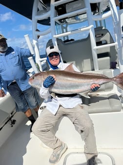 Amberjack fishing in Freeport, Texas