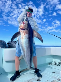 Swordfish Fishing in Key Largo, Florida