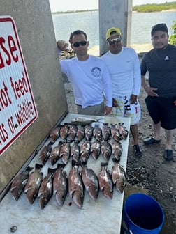 Fishing in Port Orange, Florida