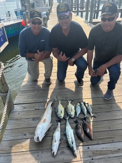 Florida Pompano, Mangrove Snapper, Redfish, Spanish Mackerel Fishing in Orange Beach, Alabama