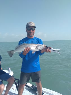 Speckled Trout / Spotted Seatrout fishing in South Padre Islands, Texas