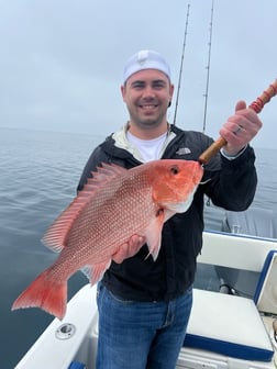 Vermillion Snapper Fishing in Destin, Florida