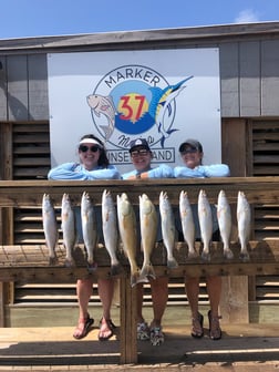 Redfish, Speckled Trout / Spotted Seatrout fishing in Corpus Christi, Texas