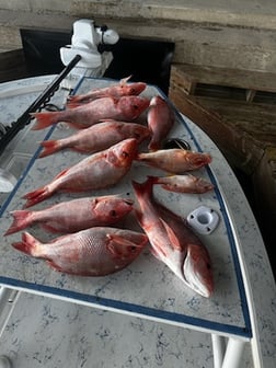 Fishing in South Padre Island, Texas