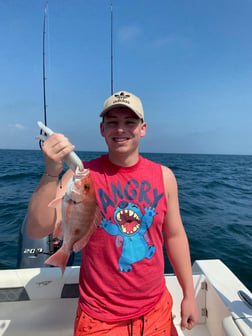 Red Snapper Fishing in Pensacola, Florida