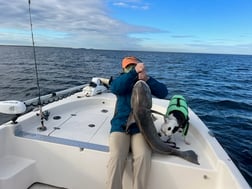 Redfish, Speckled Trout Fishing in Crystal River, Florida