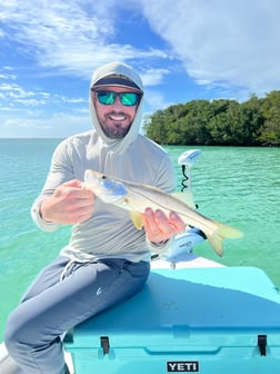 Snook Fishing in Key West, Florida