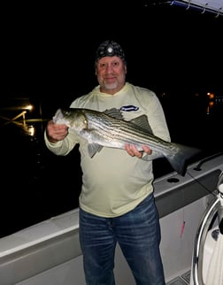 Striped Bass Fishing in Stone Harbor, New Jersey