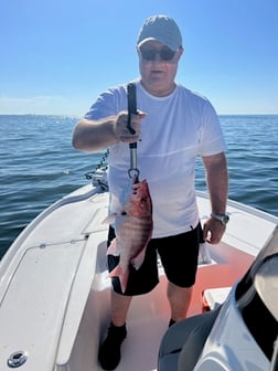 Redfish Fishing in Buras, Louisiana