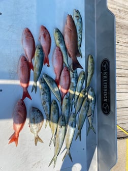 Fishing in Panama City Beach, Florida