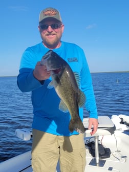 Largemouth Bass Fishing in Clewiston, Florida