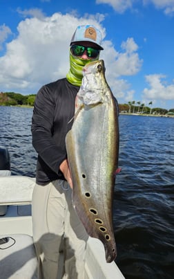 Fishing in Delray Beach, Florida