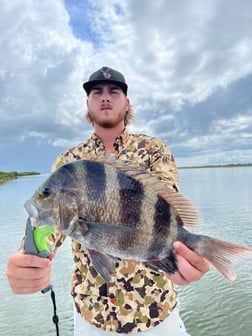 Sheepshead fishing in Galveston, Texas