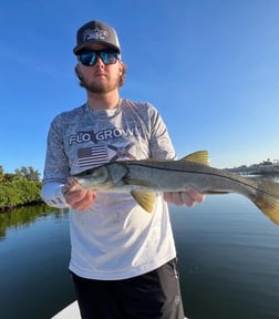 Jack Crevalle Fishing in Sarasota, Florida