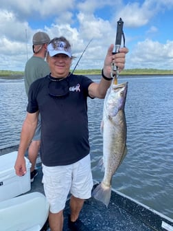 Shrimp fishing in St. Augustine, Florida