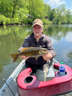 Smallmouth Bass Fishing in Leicester, North Carolina