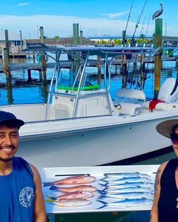 Lane Snapper, Mangrove Snapper Fishing in Key West, Florida