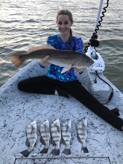 Black Drum, Flounder Fishing in Rockport, Texas