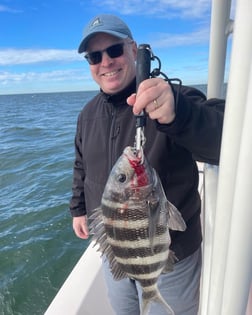 Florida Pompano, Sheepshead Fishing in Sarasota, Florida