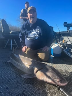 Sturgeon Fishing in Anderson, California