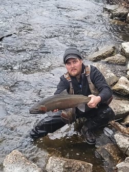 Rainbow Trout Fishing in Washburn, Wisconsin