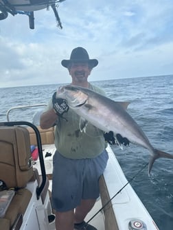 Amberjack Fishing in Orange Beach, Alabama