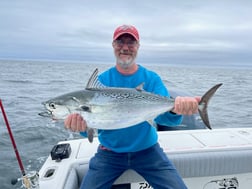 Bonito fishing in Chatham, Massachusetts