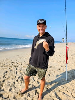 Tiger Shark Fishing in Stone Harbor, New Jersey