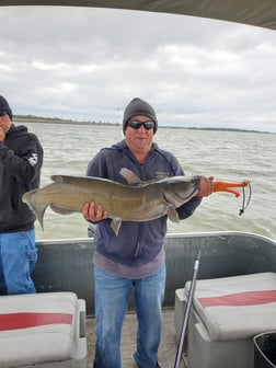 Channel Catfish Fishing in Port Clinton, Ohio