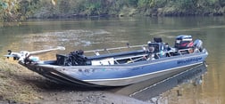 Coho Salmon Fishing in Montesano, Washington