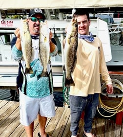 Mangrove Snapper, Sheepshead Fishing in St. Petersburg, Florida