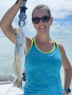 Speckled Trout / Spotted Seatrout fishing in Bokeelia, Florida