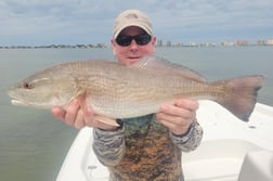 Redfish Fishing in Clearwater, Florida