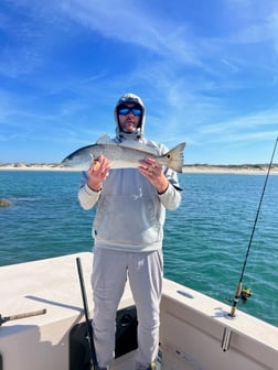 Redfish Fishing in Beaufort, North Carolina