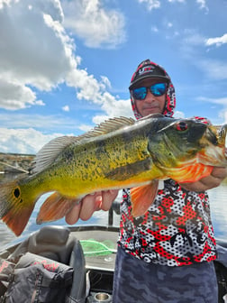 Fishing in Fort Lauderdale, Florida