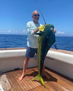 Mahi Mahi / Dorado fishing in Cabo San Lucas, Baja California Sur