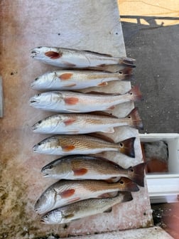 Fishing in South Padre Island, Texas