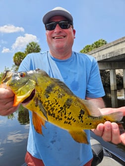 Fishing in Fort Lauderdale, Florida