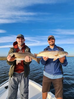 Redfish, Sheepshead, Speckled Trout / Spotted Seatrout Fishing in Yscloskey, Louisiana