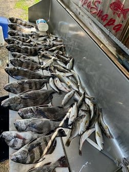 Fishing in Biloxi, Mississippi