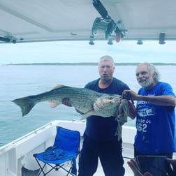 Striped Bass fishing in Montauk, New York