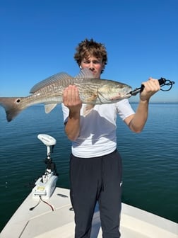 Fishing in Sarasota, Florida