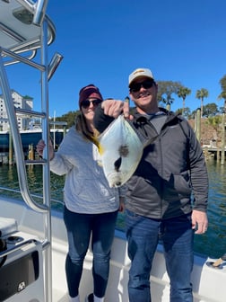 Jack Crevalle Fishing in Destin, Florida