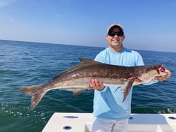 Cobia fishing in Virginia Beach, Virginia